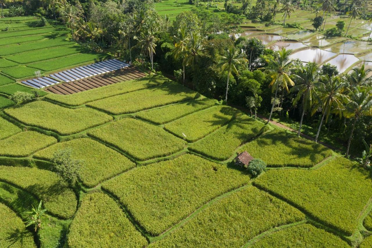 Hotel Blambangan Banyuwangi  Exterior foto